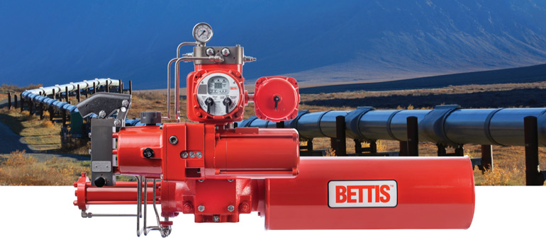 Achieving Reliability and Robustness with Emergency Shutdown Valves