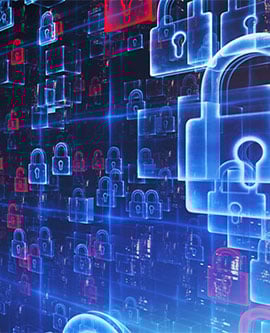 Data Management Services